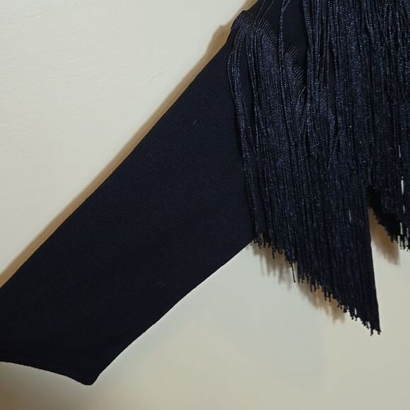 Rara Avis by Iris Apfel Fringe Sleeve Sweater Dress Size 1X Purple Arsty Western - Picture 5 of 15